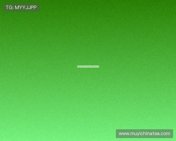 纯白之恋：倾听心底最纯粹的声音