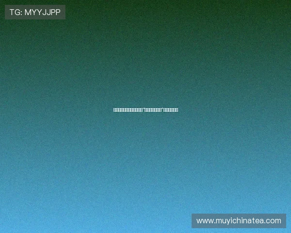 绿茵逐梦，少年无畏：重燃“足球小将世界杯”的炽热爱火！